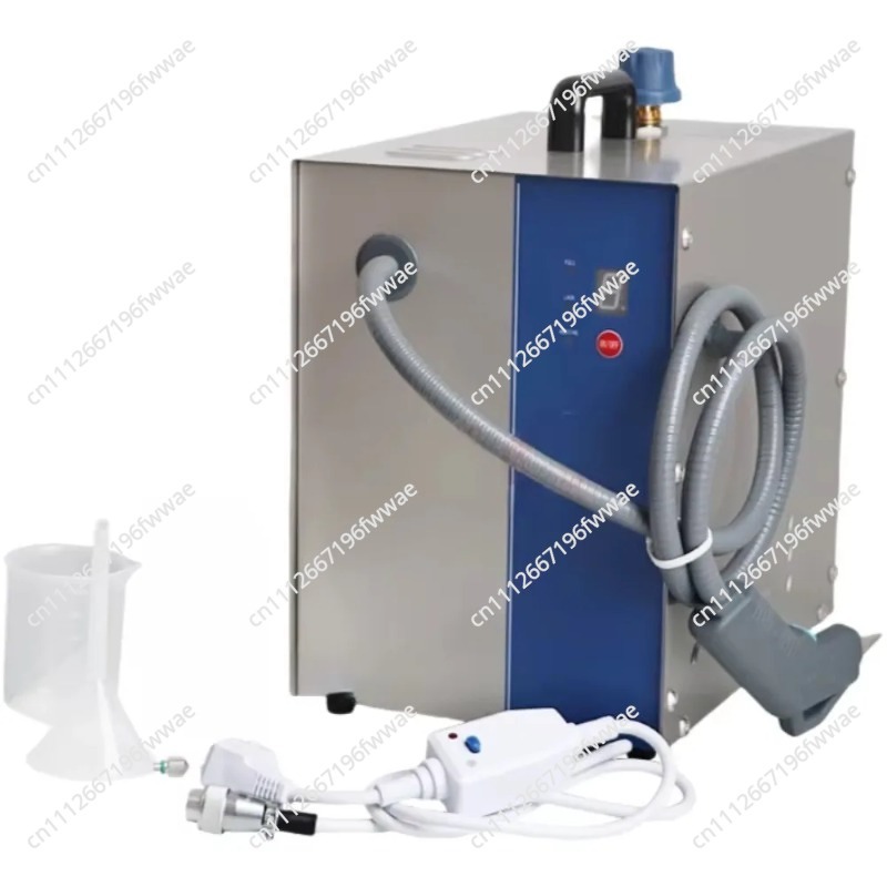 For Stainless Steel 2L Profess - Jewelry Steam Cleaner Professional 2L 评论和价格