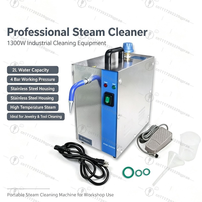 Professional 1300W Steam Clean - Jewelry Steam Cleaner Professional 2L 评论和价格